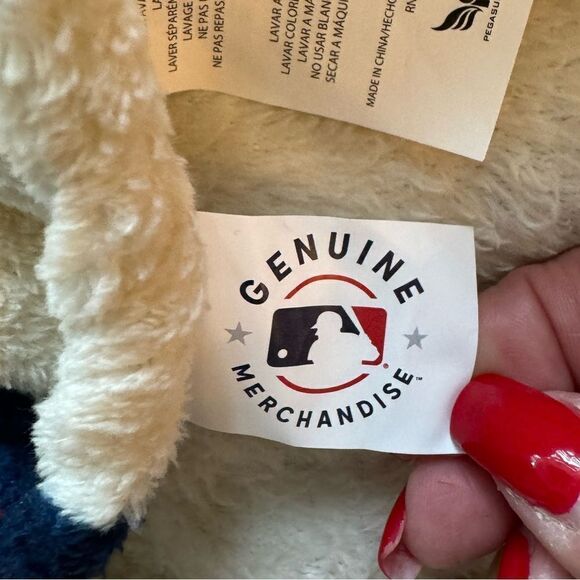 Boston Red Sox MLB 60'' x 70'' Super Soft Plush Hello Fall Throw Blanket NWT - Picture 8 of 8